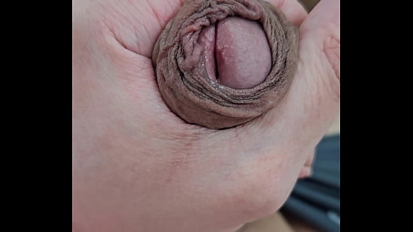 MŁODY MĘŻCZYZNA WALĄCY KONIA I CUMMING