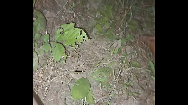 Myanmar gej nago na zewnątrz las solo gorący wosk w nocy