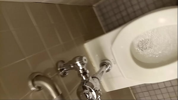 Walenie konia w toalecie biblioteki publicznej