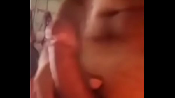 Lachociąg cieszący się 3