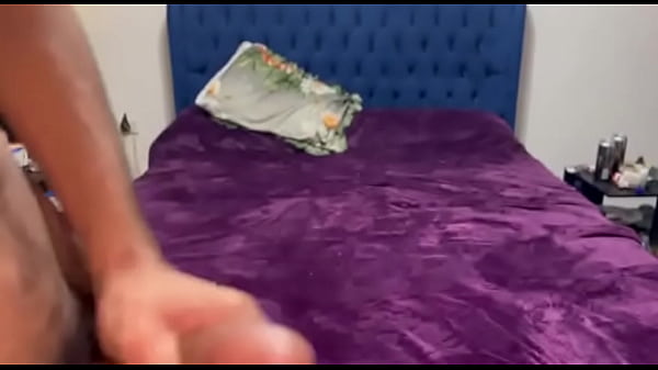 Sztywny egipski ogier, którego rozpoznałem z internetu.