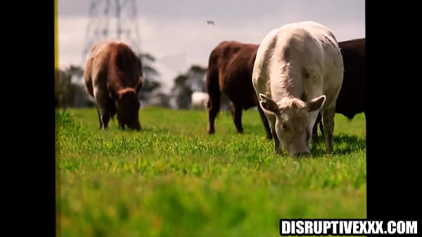 Gejowskie gwiazdy pieprzą się na planie reality show