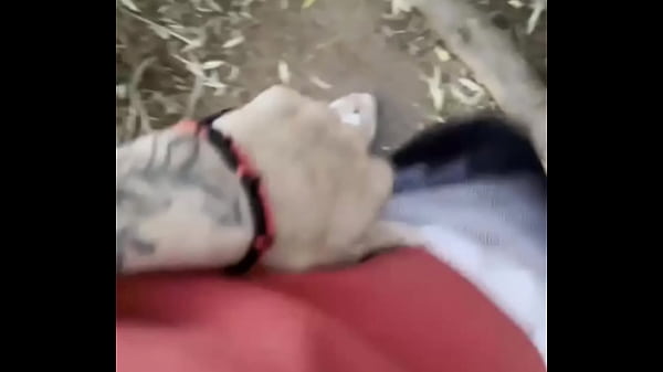 utalentowany młodzieniec znajduje na szlaku czarnoskórego faceta i zabiera go do domu, by bez litości włamać mu się do dupy