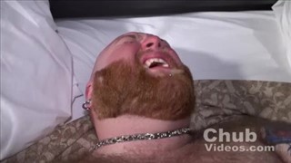 mnóstwo niedźwiedzi 1